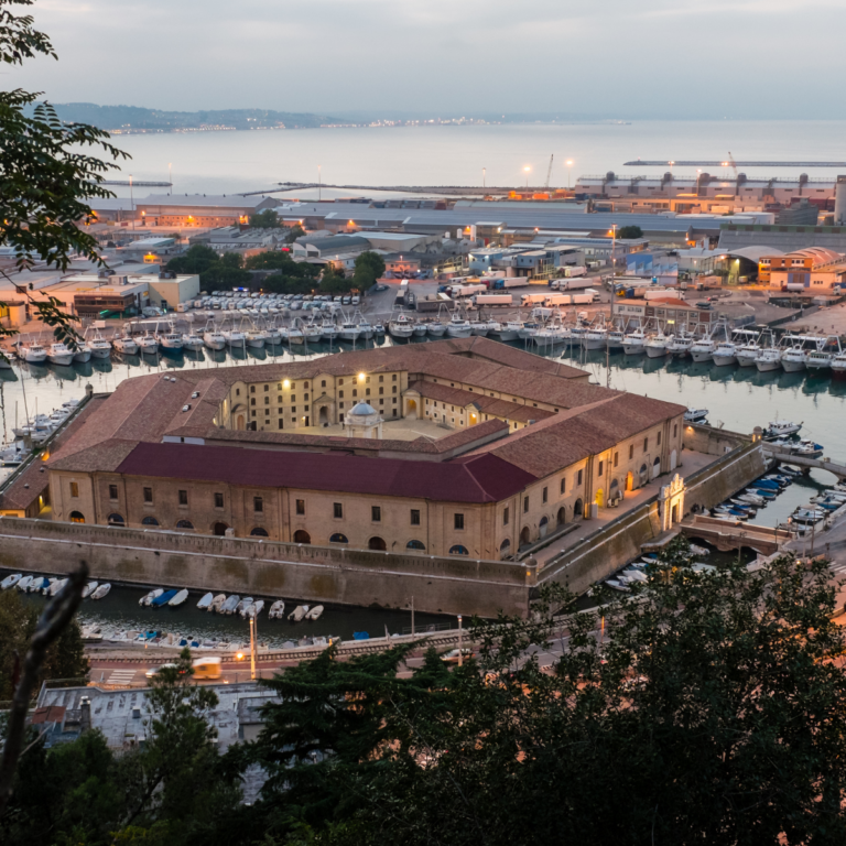 Transfer NCC Verona - Ancona