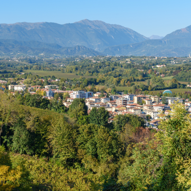 Transfer NCC Verona - Conegliano