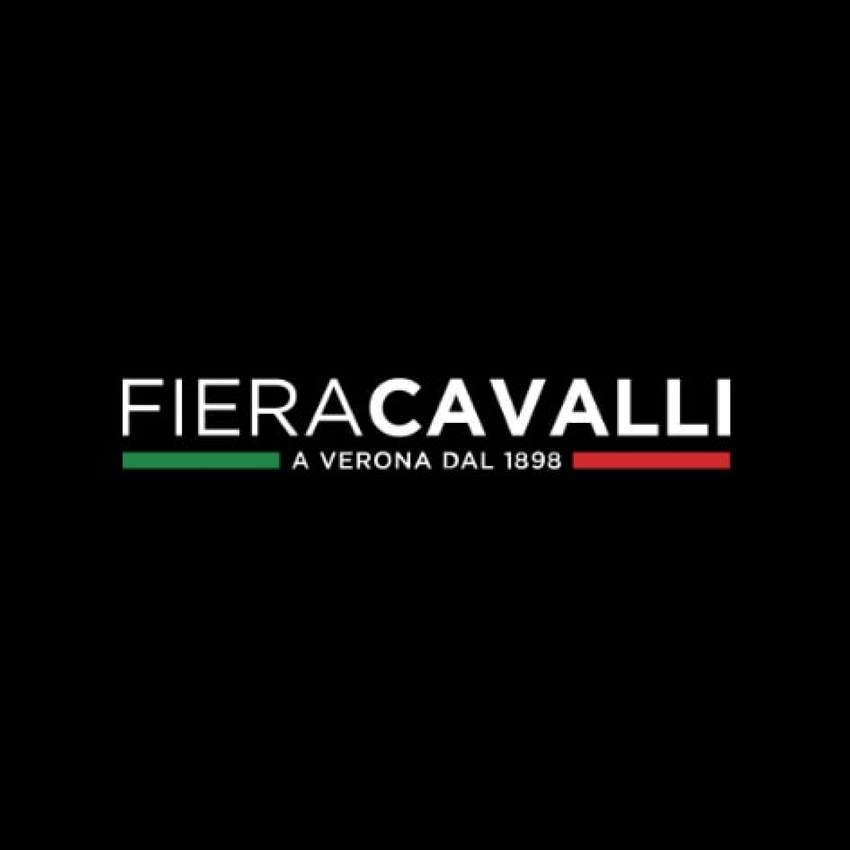 Transfer NCC Fiera cavalli Verona
