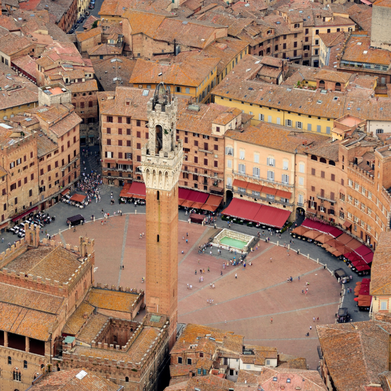 Transfer NCC Verona - Siena