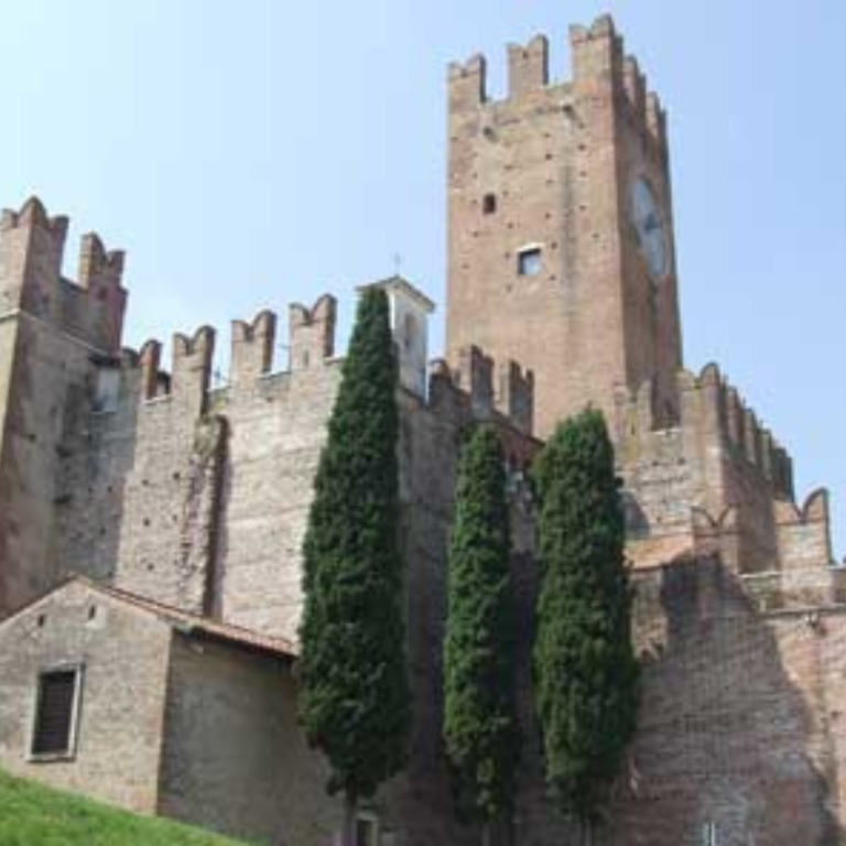 Transfer NCC station Verona - Villafranca di Verona